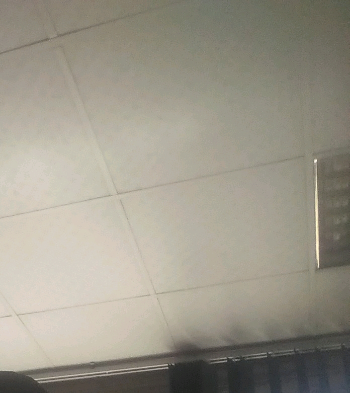 ابو ‏بكر ‏