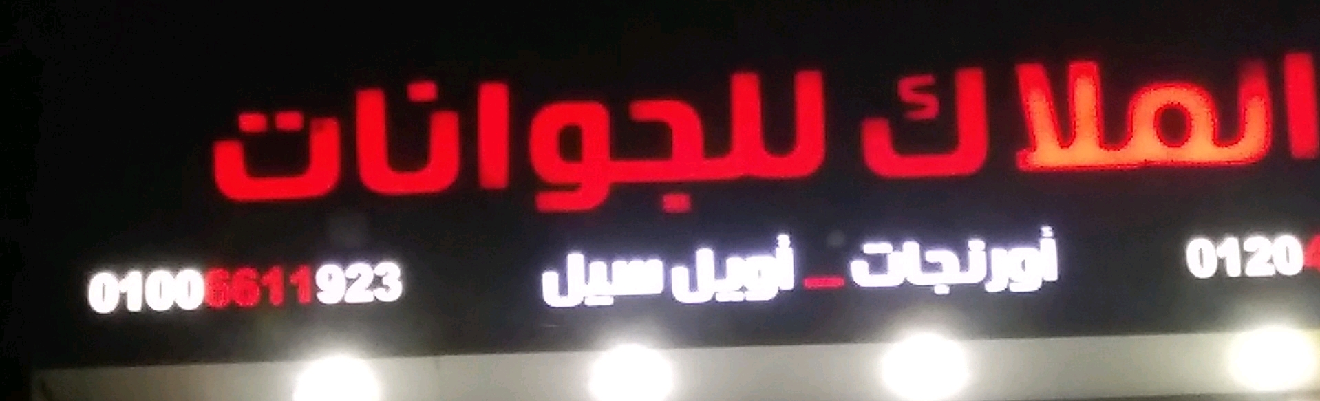 الملاك للجوانات 