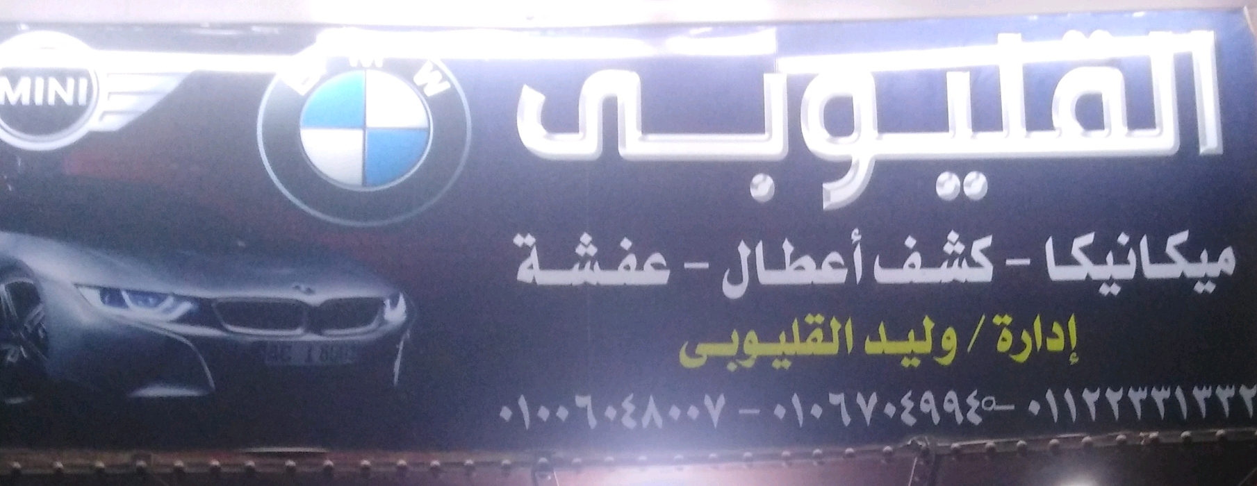 وليد القليوبي 