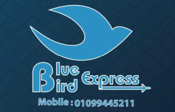 Blue Bird Express