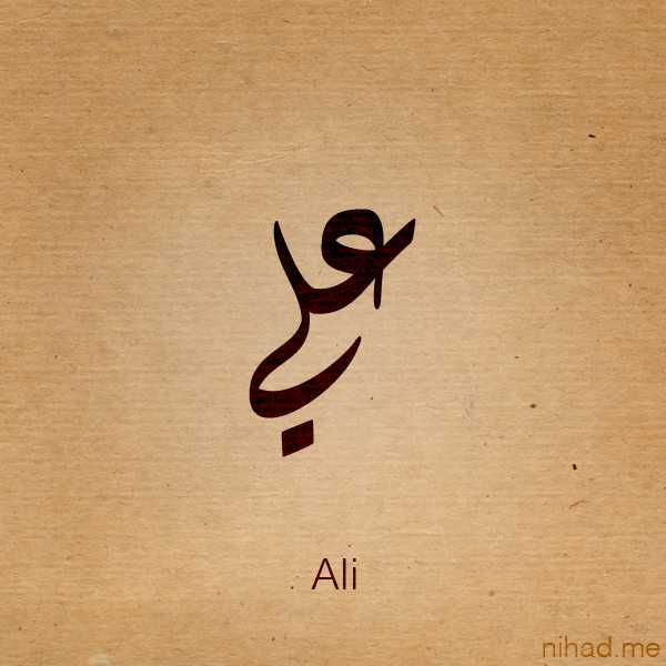الشيخ للشحن السريع